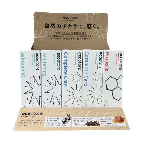 【ecostore】オーラルケア　訴求什器(紙製)
