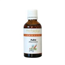 【HERBIOLYS】ヨーロッパハンノキ　50mL