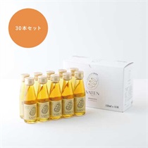 【福光屋】バテン 100mL（30本入） ミトコンドリア活躍飲料 