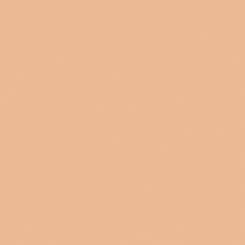 【Celvoke】インテントスキン パウダーファンデーション(コンパクト&ブラシ付き)(101:明るいピンクオークル系-101:Bright Pink Ocher Type)
