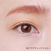 【Celvoke】ヴァティック アイパレット＜全2種＞＜2023 S/S